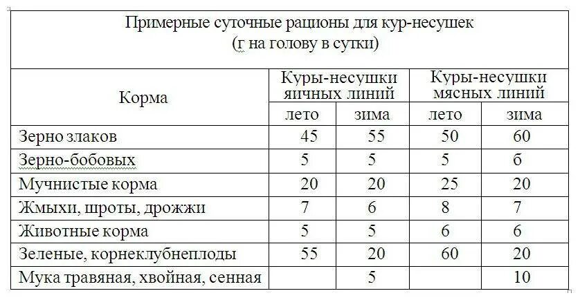 Сколько кормить несушек в день