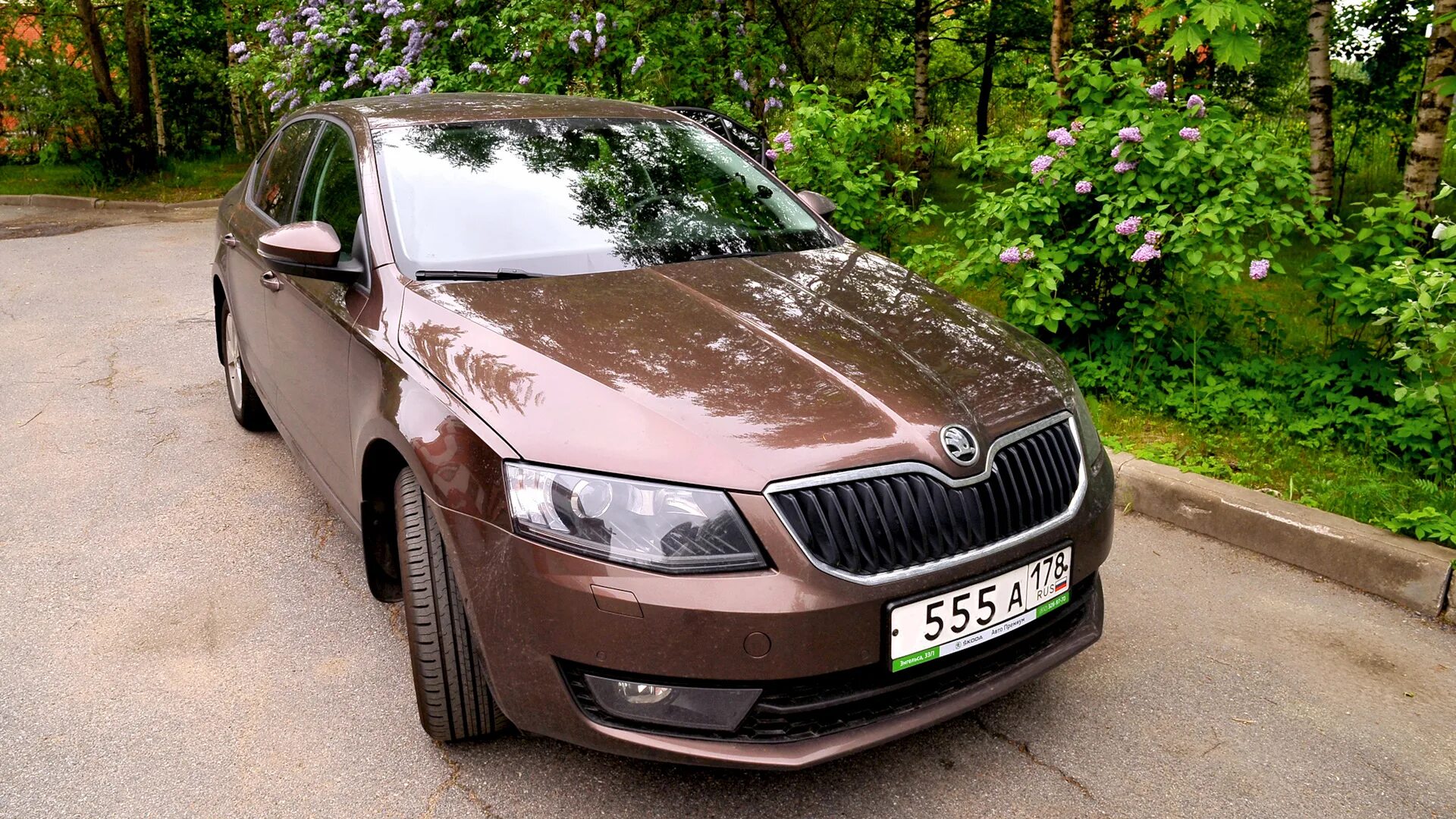 Шкода актавия коричневая 2016. Шкода Рапид 2017 шоколадный цвет. Skoda octavia цвета