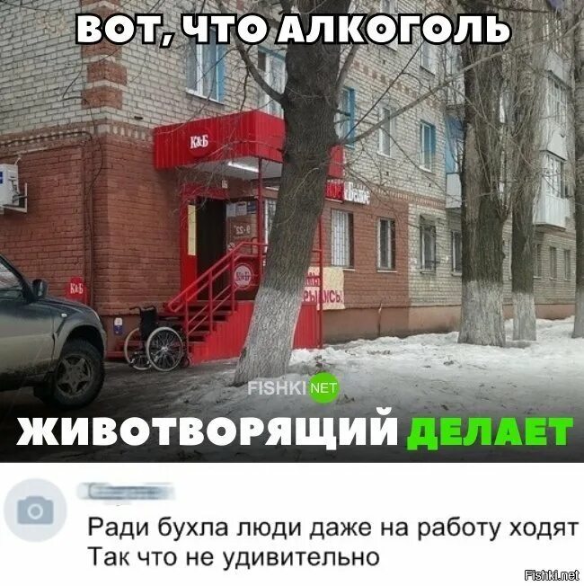 Вот что алкоголь животворящий делает. Вот что коньяк животворящий делает. Ради всего спиртного. Вот что крест животворящий делает фото картинки. Вот что животворящий делает