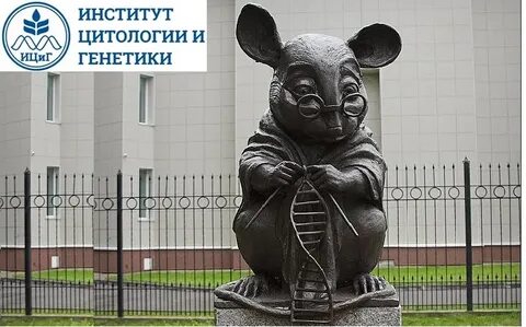 Ициг со ран