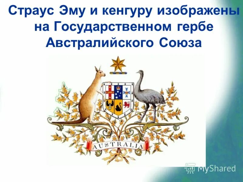 герб австралии гербы австралии. герб австралийского союза. австралия государство герб. кенгуру на гербе австралии. герб австралийского союза.
