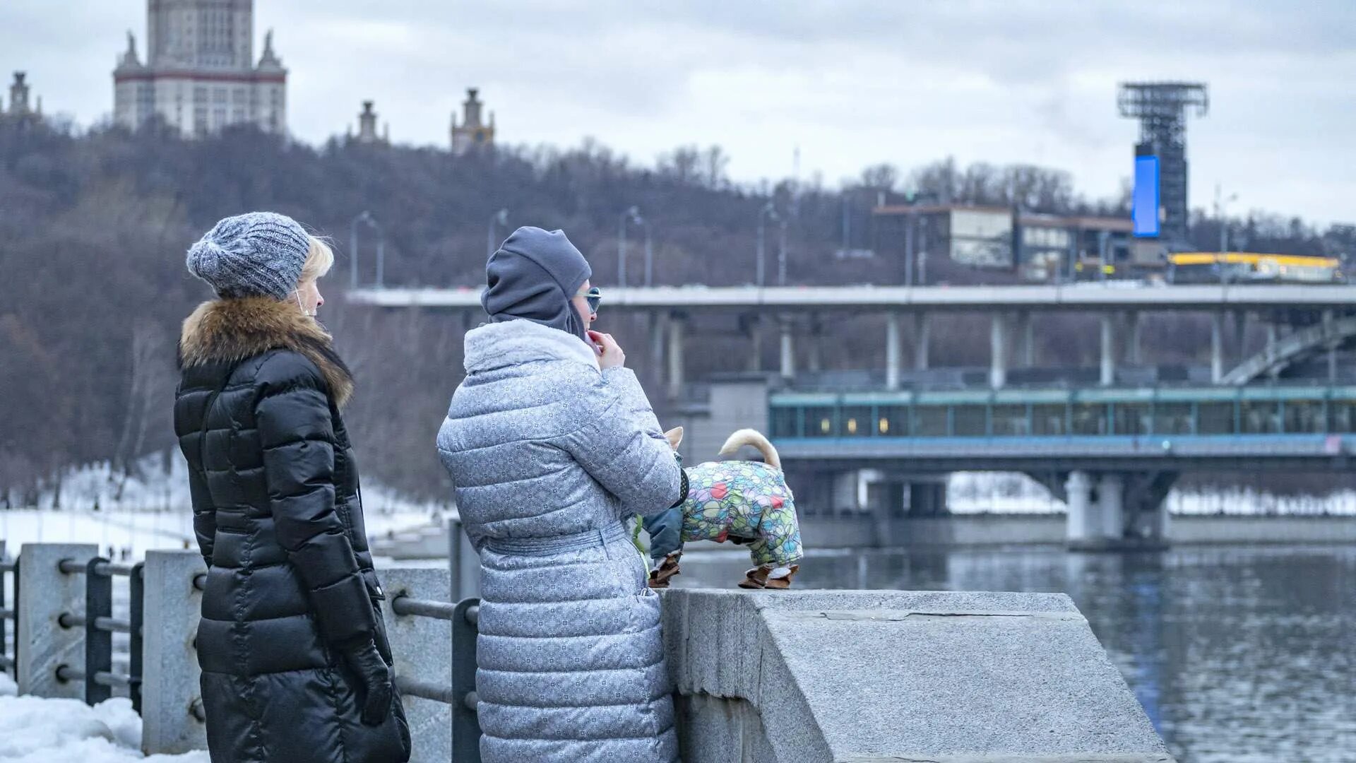 Холодно 2017. Самая теплая зима. Самая холодная зима в Москве. Самый холодный день в Москве зимой. Москва в декабре.