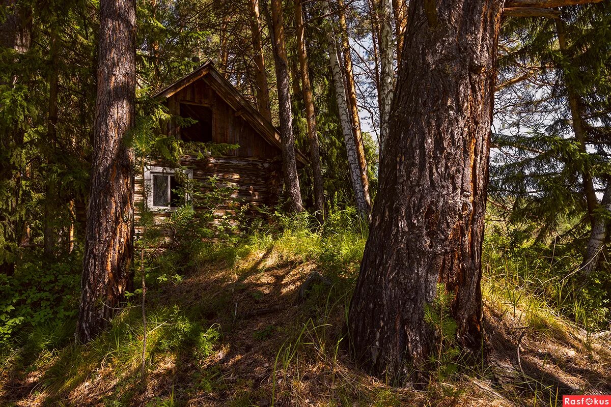 баба нина знахарка.