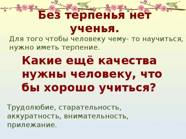 Без терпения нет учения. Без нет учения пословица. Без терпения нет учения значение пословицы. Без терпенья нет ученья смысл пословицы. Без терпеливый