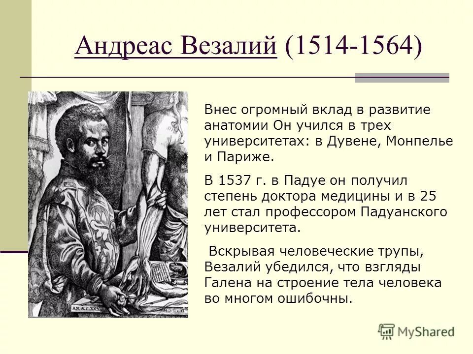 Основоположник современной научной анатомии. Андреас Везалий (1514-1564 гг.). Андреас Везалий(1514 – 1654 гг). Везалий (1514-1564).