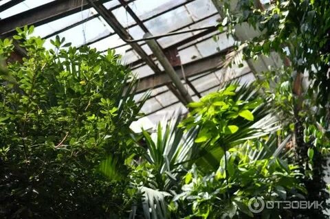 Казанский зооботанический сад отзывы