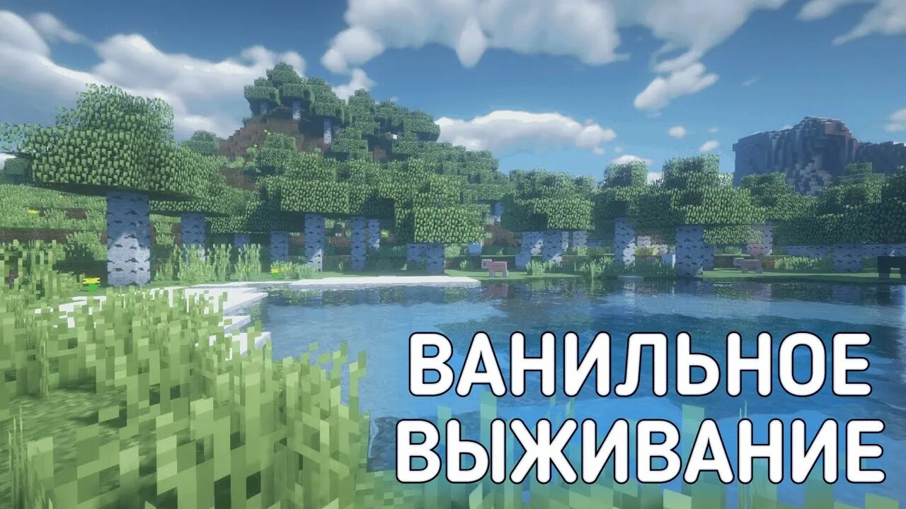 Шейдеры вайм