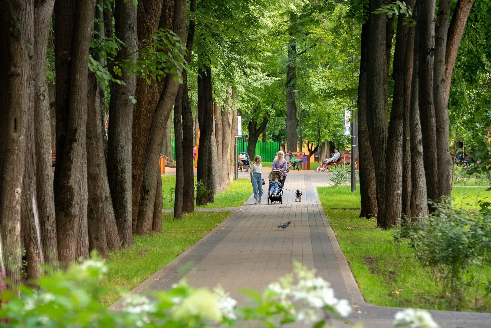 Городские парки москвы