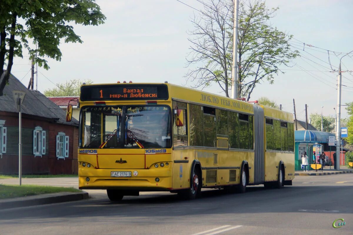 МАЗ 105 желтый. МАЗ 105.465. Автобус МАЗ 105. Гомель автобус. Автобус 3 гомель