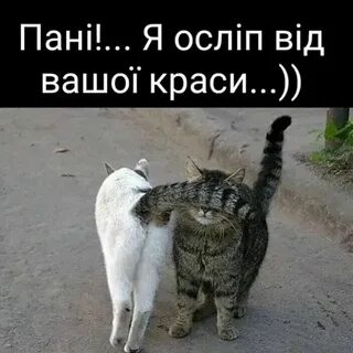 Постой а можно я с тобой название