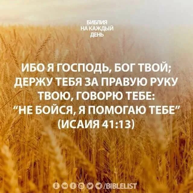 Совершенный бог слова. Стихи из библии. слова из библии. цитаты из библии. стихи из библии на каждый день.