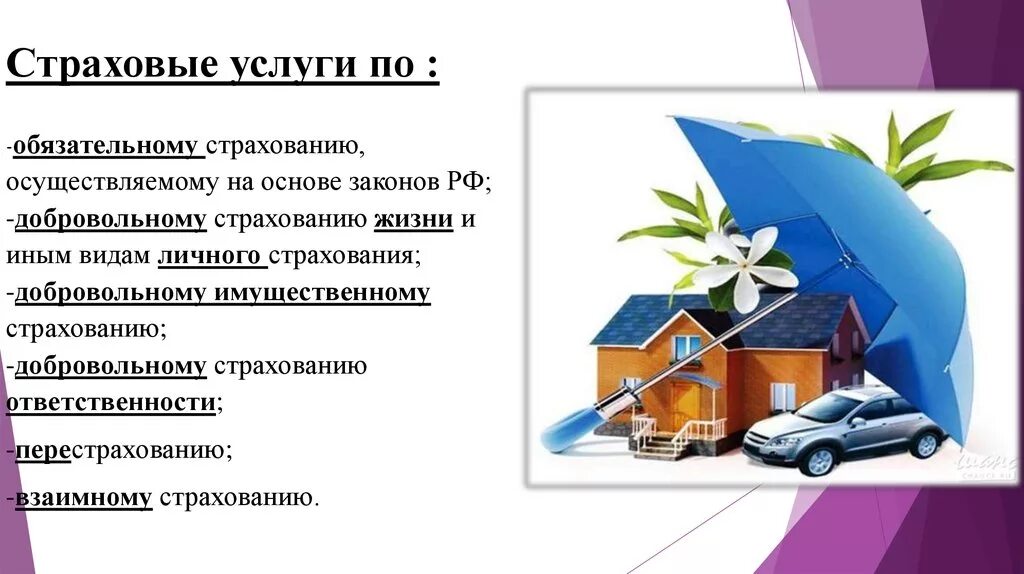 Компания личного страхования. Услуги страхования. Страхование и страховые услуги. Услуги по страхованию. Страхование презентация.