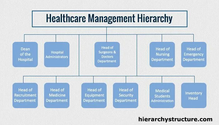 Administrative structure. Medical departments. Организационная структура больницы. Medical departments. Medical department.
