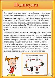 Карантин по педикулезу в детском саду