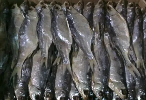 Продам вяленая рыба