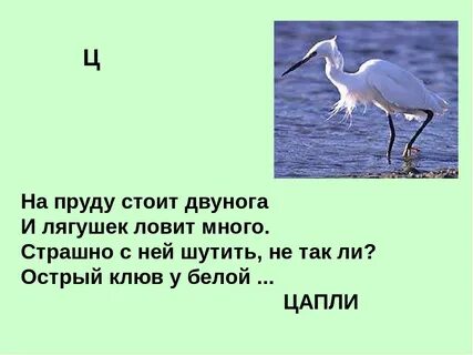 Цапля разбор