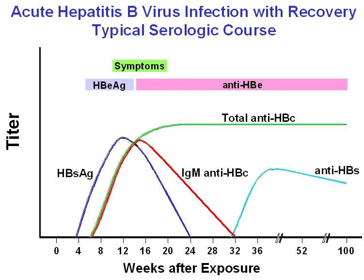 Анти HBC IGM. Hepatitis Test. Acute Hepatitis. Anti HBC Anti HBE гепатит. Hcv total отрицательный