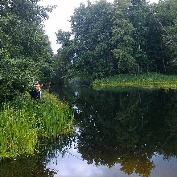 Кожевенный кордон. Кожевенный кордон воронеж. Усманка река кожевенный кордон воронеж. Кожевенный кордон. Летние зори турбаза воронеж.