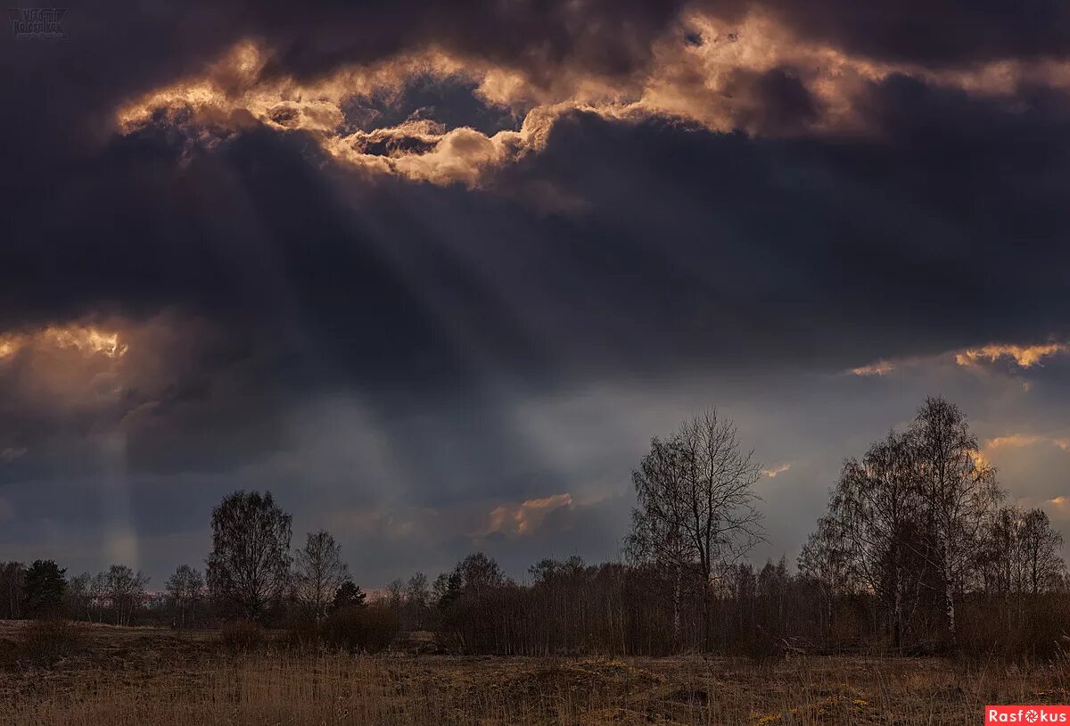 Небо поздняя осень. Пасмурная осень. Пасмурное небо. Серые осенние тучи. Пасмурное небо.