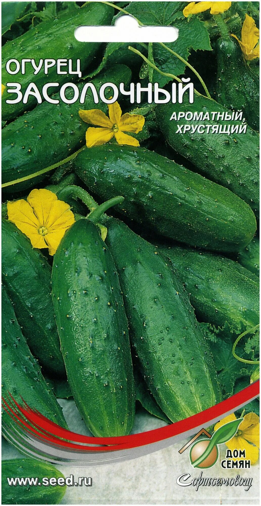 Засолочный огурец
