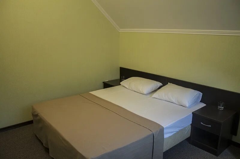 Отель дубки самара. Гостиница дубки. Дубки 4 отель. Дубки самара турбаза на демократической. Гостиница дубки.