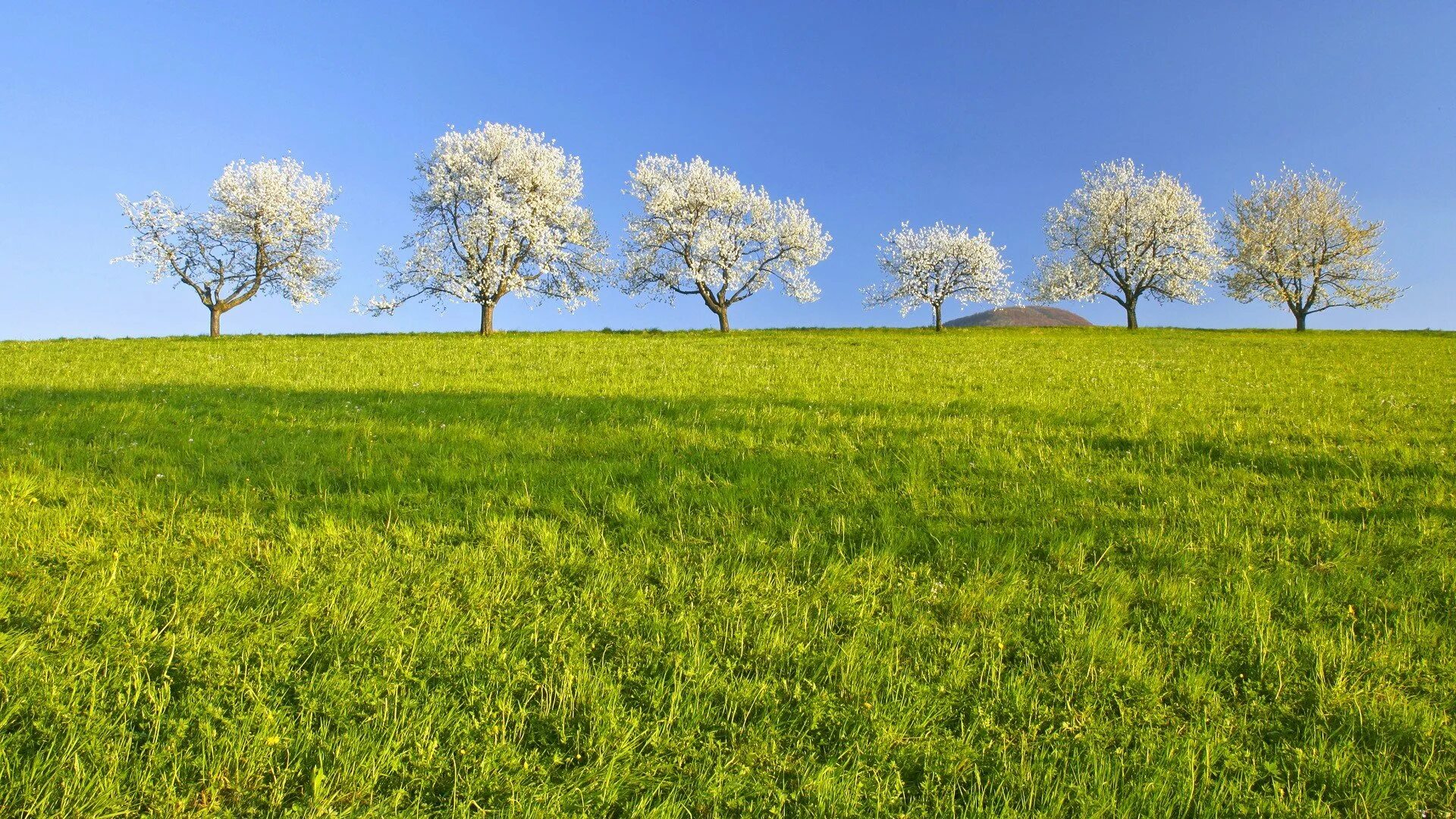 Невидимое поле. Невидимое поле. Божественная природа. Призрачная фигура. Сюрреализм бен гуссенс.