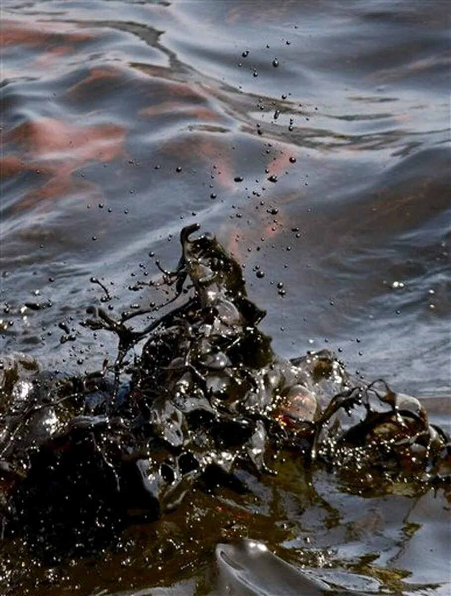 Нефть в воде. Разлив нефти. загрязнение воды. нефтяное загрязнение воды. загрязнение воды нефтью и нефтепродуктами.