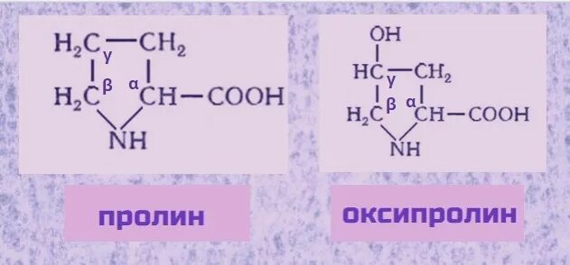 Amino acid structure. Формула пролина. Пролин аминокислота формула структурная. Формула пролина. Пролин структурная формула.
