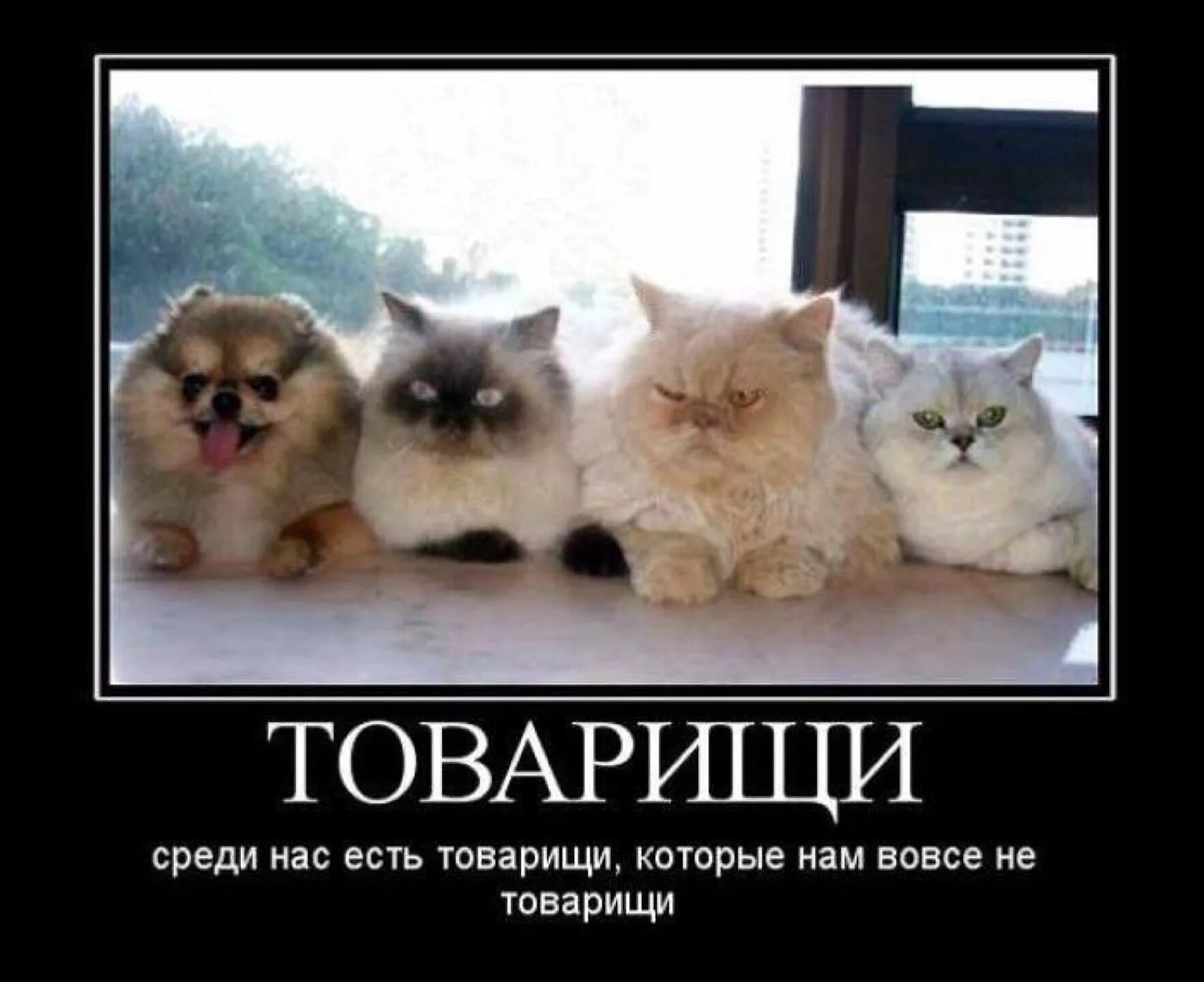Было отнюдь не близким