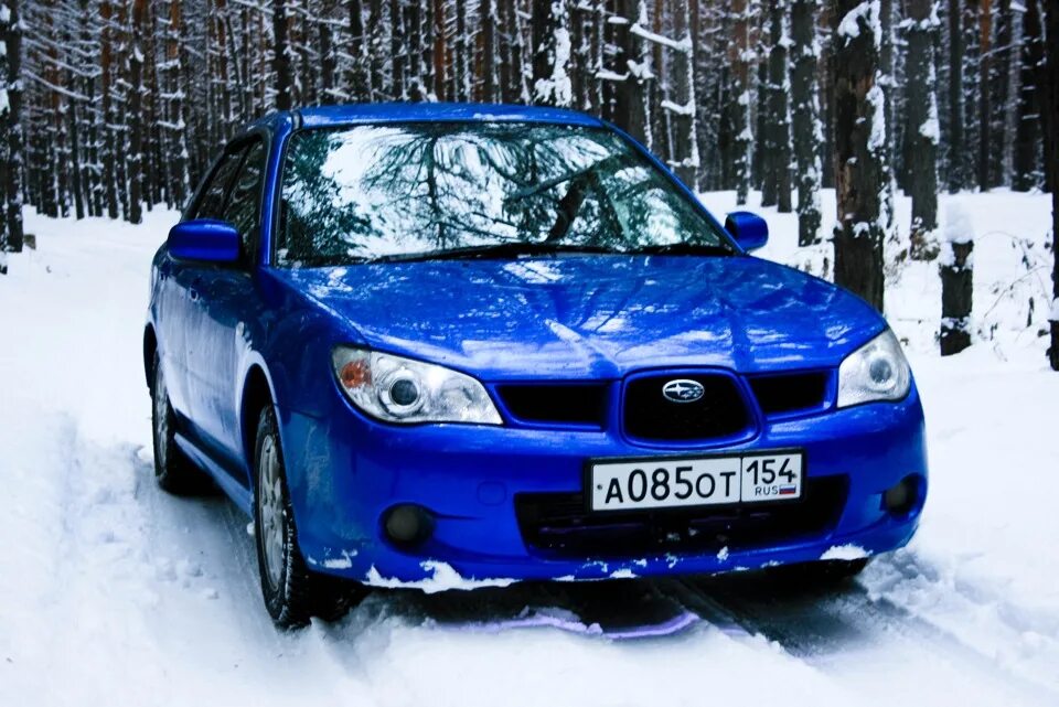 Субару зимой. Субару леса. Subaru в лесу. Субару Импреза синий Лис драйв2.