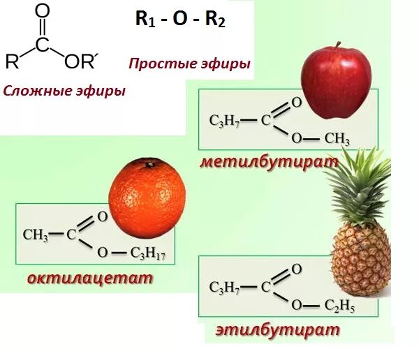 структура формулы сложных эфиров. простейшая формула сложных эфиров. сложные эфиры формула. общая формула сложный сложный эфир. общая формула сложных эфиров.