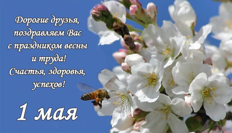 4 майских дня. 4 майских дня