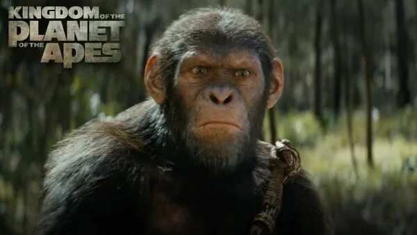 Kingdom of the Planet of the Apes' Footage Teases Noa’s Adventure in CinemaCon S