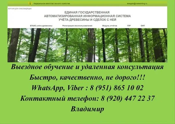 Систему лесегаис. Лесегаис. отчетность лесегаис. лесегаис договор. балансовая модель лесегаис.