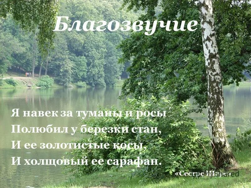 Я навек за туманы и росы полюбил. Я навек за туманы и росы полюбил у Березки стан и ее. Есенин я навек за туманы и росы. Есенин стих я навек за туманы и росы. Стан Березки.