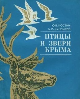 Кн ю