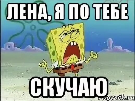 Лена пришла домой