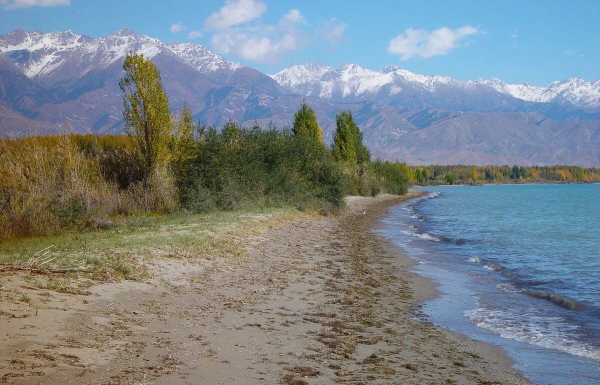 киргизия иссык кульская область иссык куль. иссык-куль киргизия. природа кыргызстана иссык куль. каракол озеро иссык куль. берег озера иссык куль.