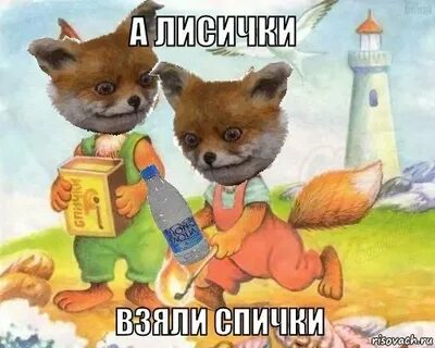 Лиса берет лису