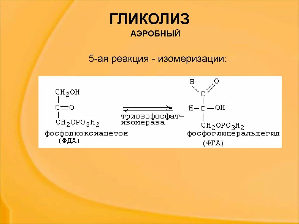 Образование атф гликолиз. Схема реакции аэробного гликолиза Глюкозы. Аэробный гликолиз реакции биохимия. Анаэробный гликолиз формула. Гликолиз формулы биохимия.