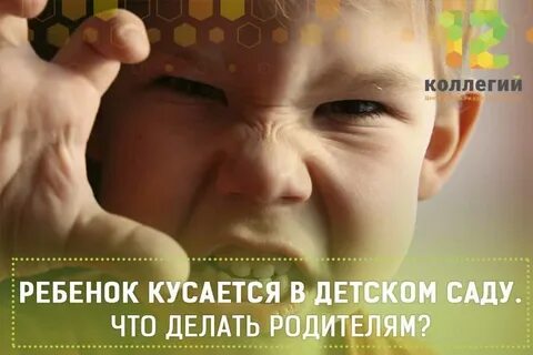 Как отучить ребенка кусаться в саду