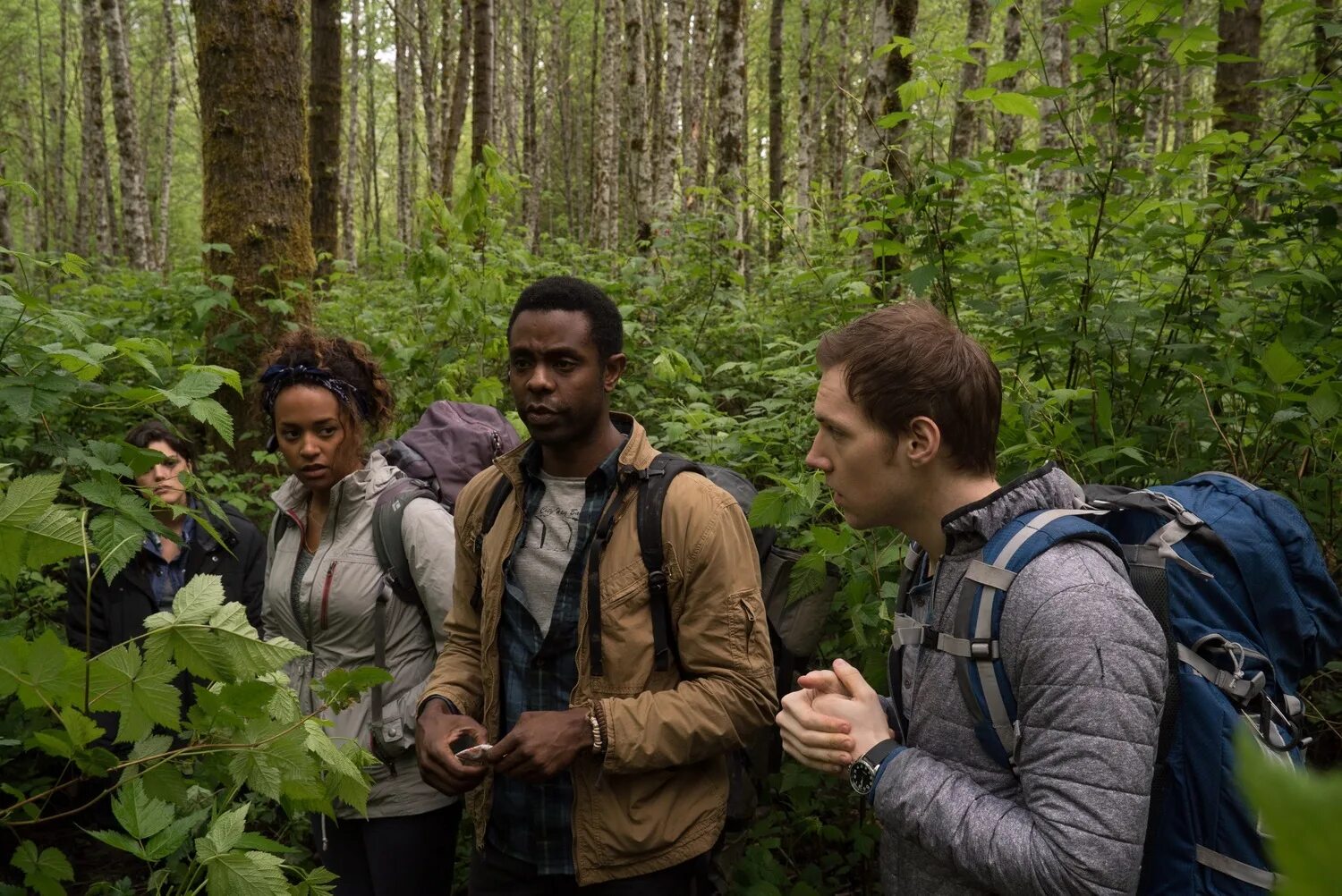 ведьма из блэр 1