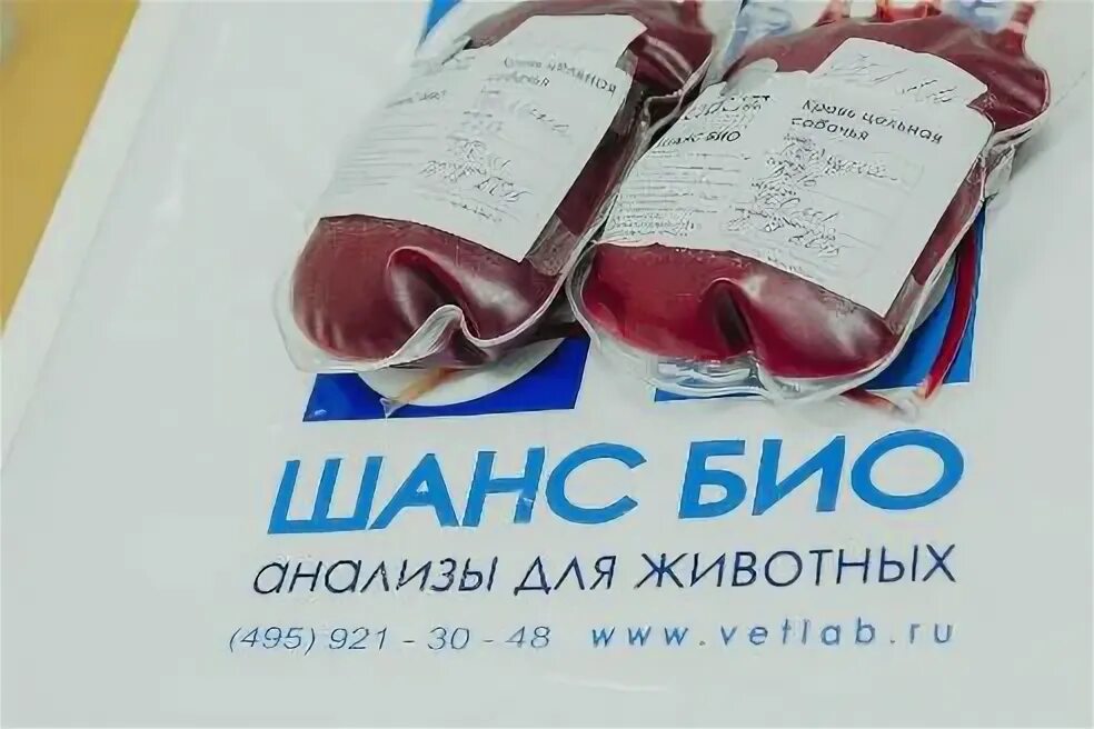 Донор крови. Сувениры для доноров крови.