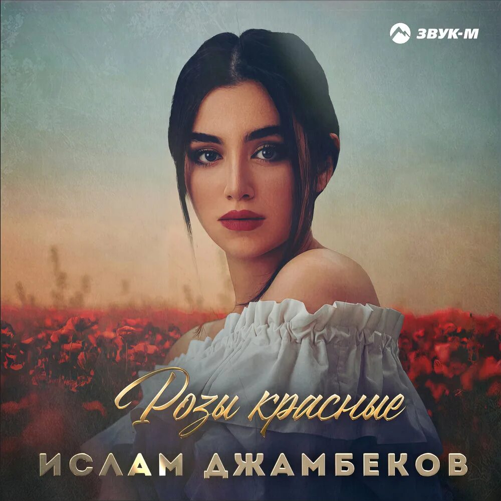 Слушать песни ислама розы. Илслмам иисляшев она любила розы. Слушать песни ислама розы. Слушать песни ислама розы. Dj prezzplay remix.