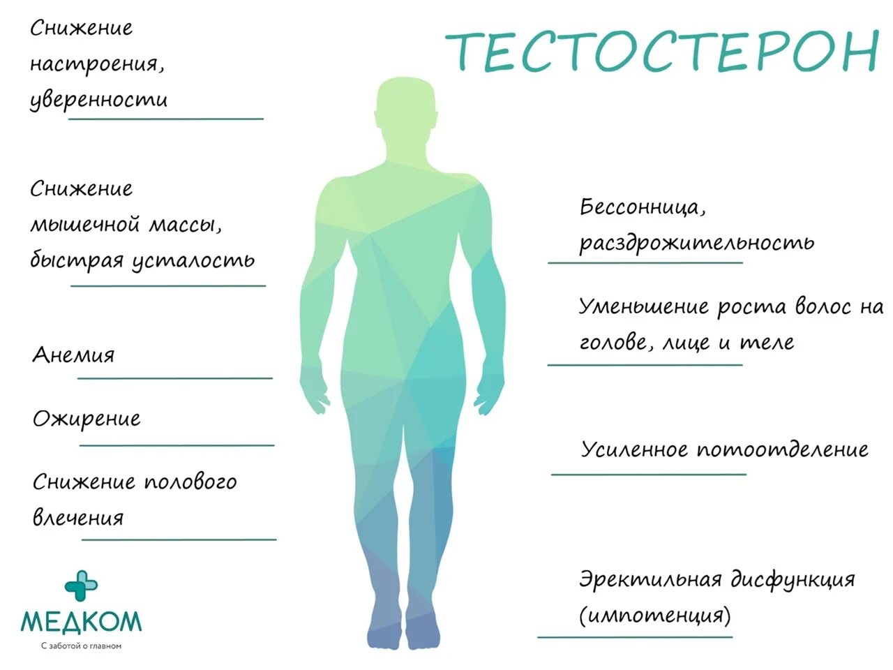 Типы тестостерона. Дефицит тестостерона. признаки дефицита тестостерона. дефицит тестостерона у мужчин. признаки дефицита тестостерона у мужчин.