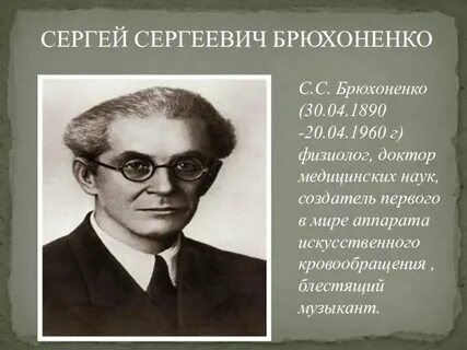 Брюхоненко
