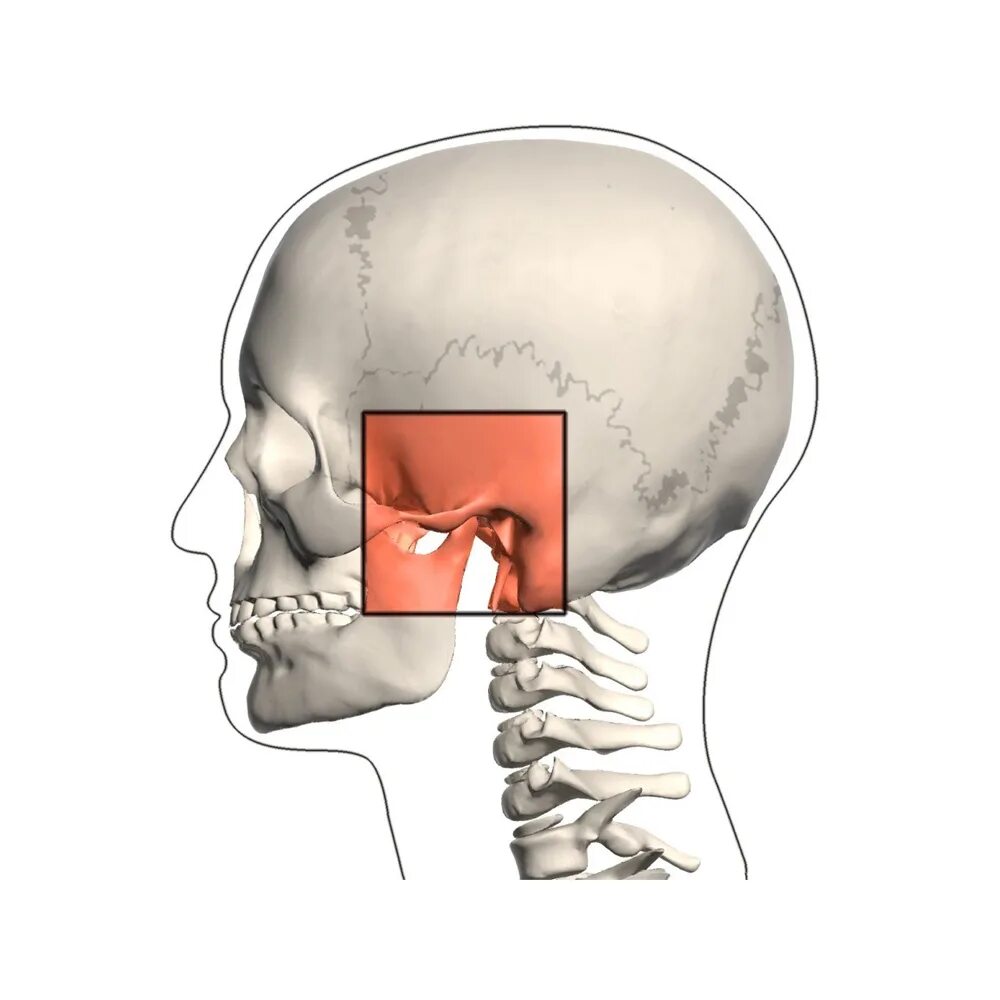 Почему щелкает зуб. Анкилоз височно-челюстного сустава. Дисфункция челюстного сустава. Челюстно лицевой сустав.