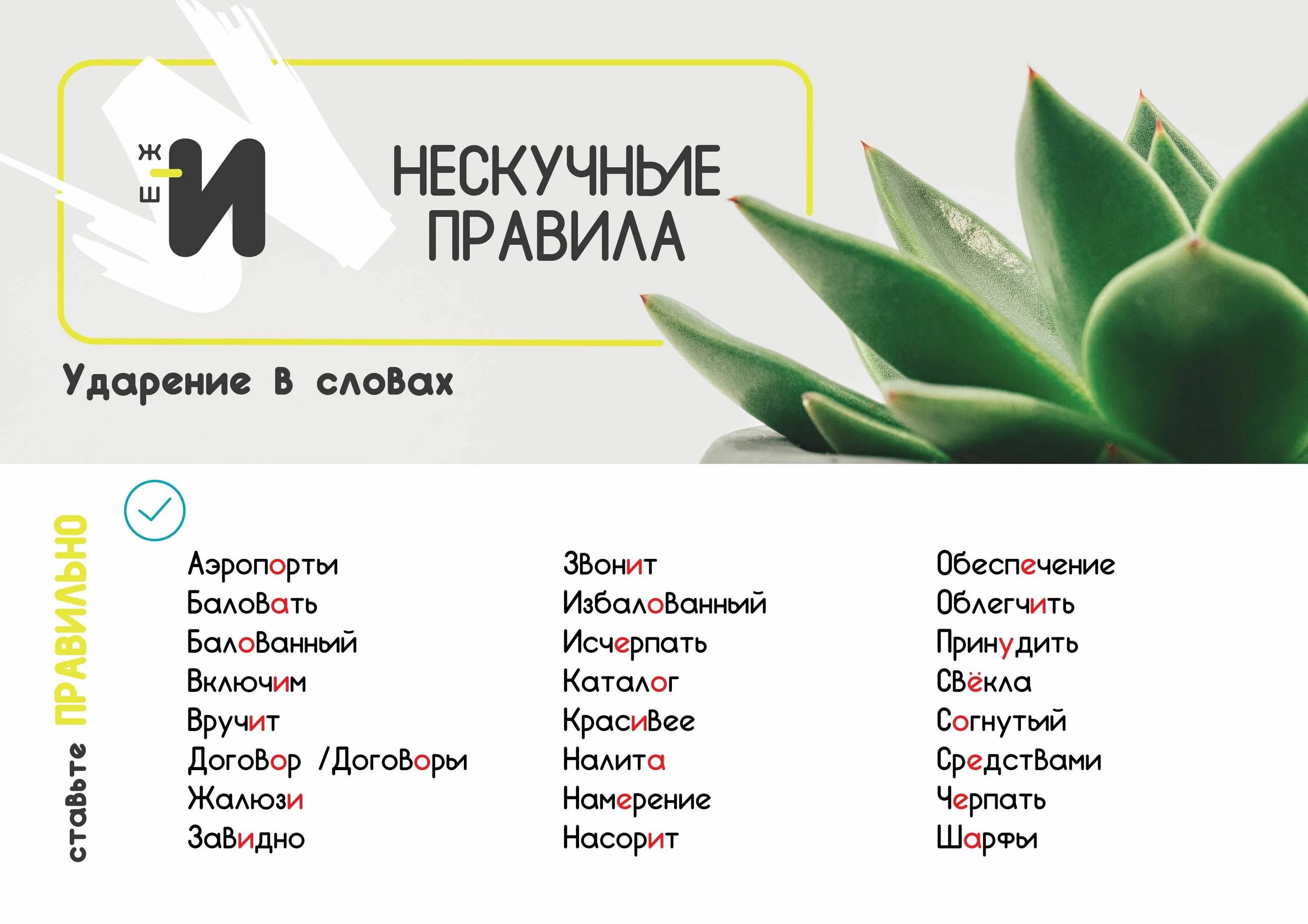 Насорит наливший углубить сливовый ударение. Ударение. Ударения в словах. Правильное ударение. Балованный ударение.