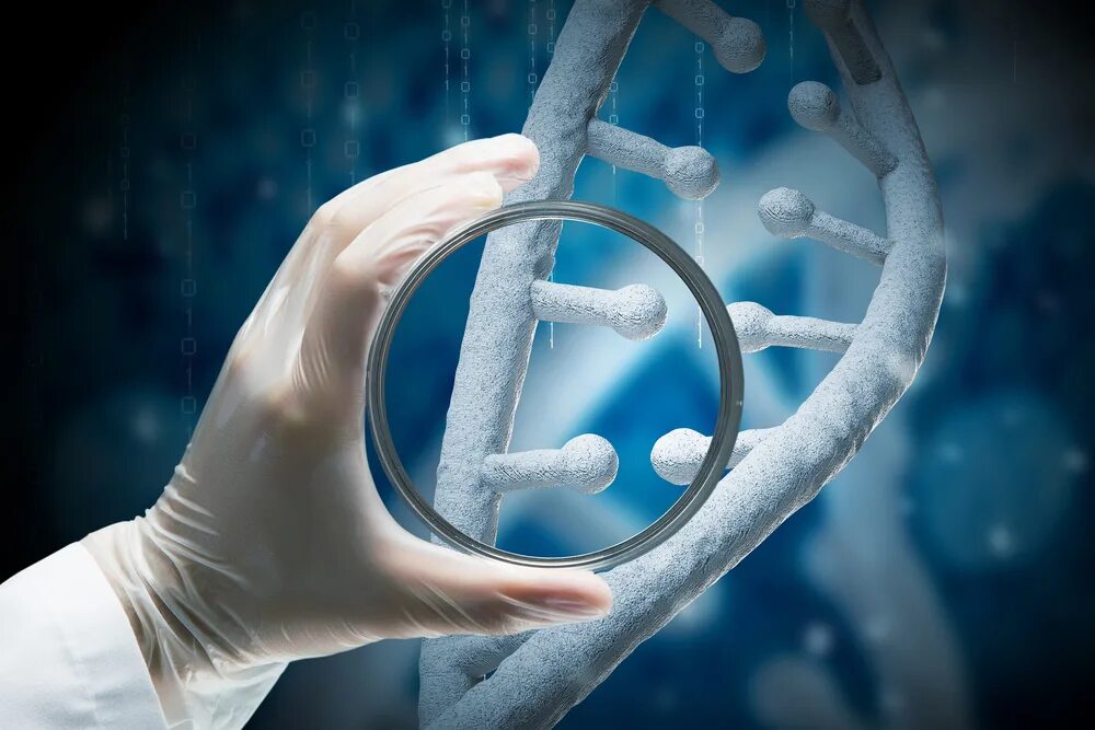 Днк тест на мутации. Генетическая инженерия. Мутация днк. Алгоритм днк диагностики. Днк тест на мутации.