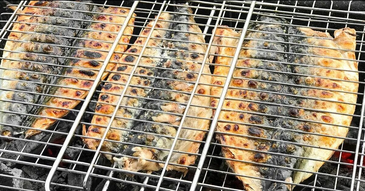 Скумбрия на костре на решетке. Рыба гриль на мангале. Скумбрия на углях на решетке. Скумбрия на гриле. Маринованная скумбрия для мангала на решетке.